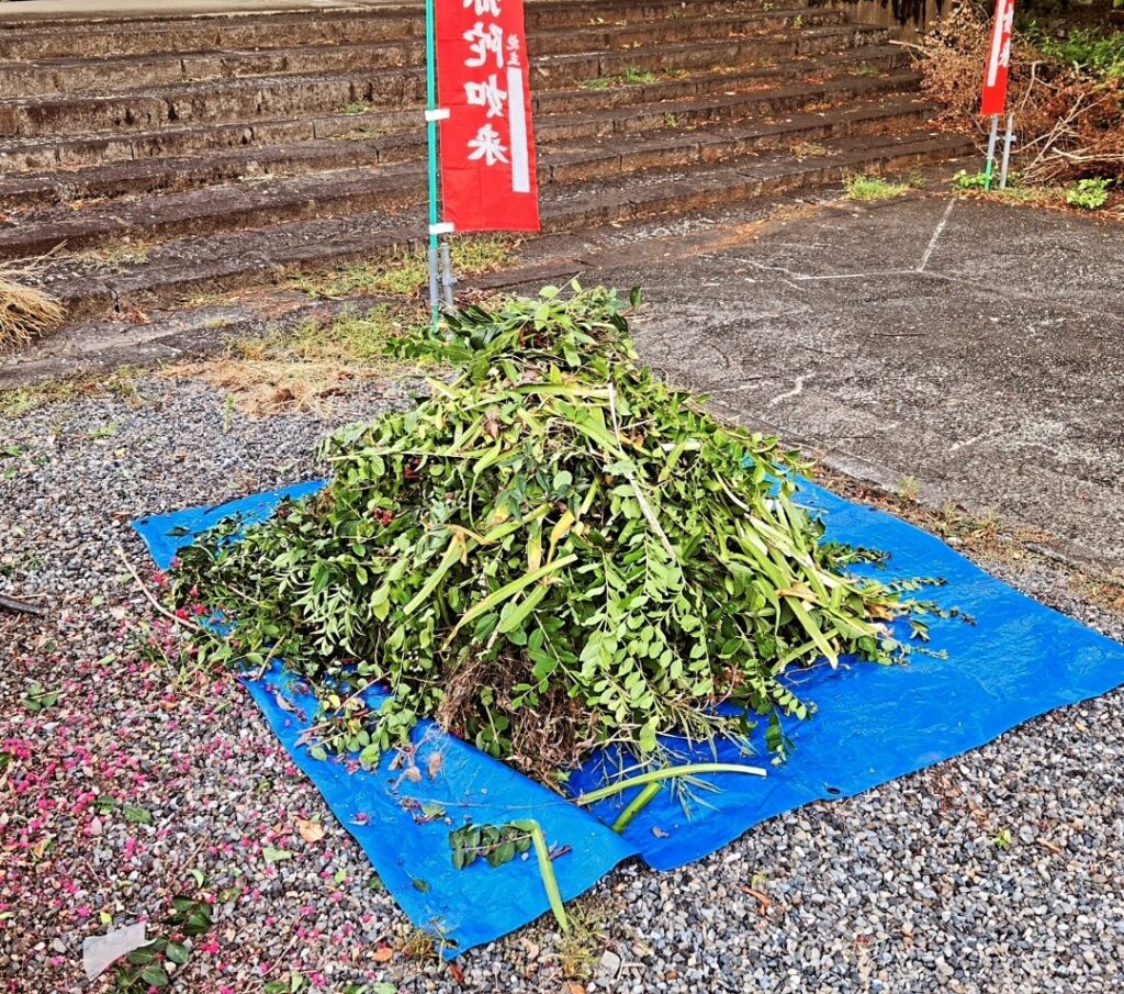 ペット葬儀、火葬も行える美江寺観音様にて樹木の剪定や整備をしている様子