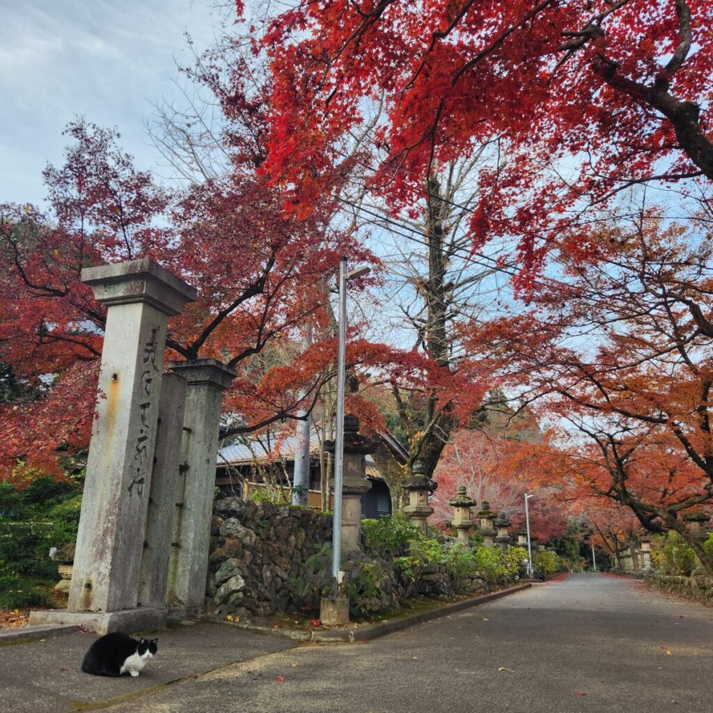 三田洞弘法法華寺で行うペット葬儀