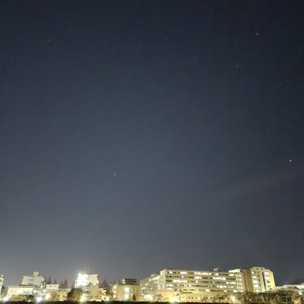 岐阜市でのペット火葬の様子