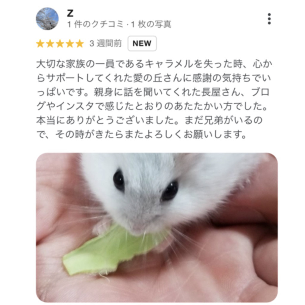 ご家族様からの声 キャラメル